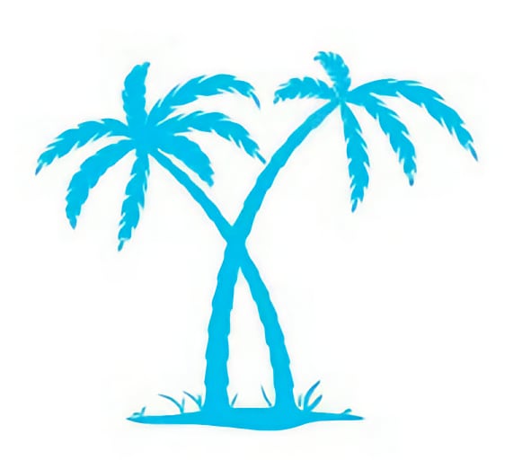Footer Palm